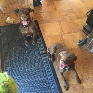 Meet your Posher, Joshua